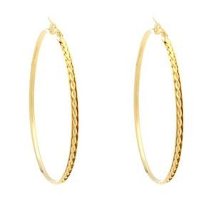 18k Gold Filled Spiral Hoop Earrings